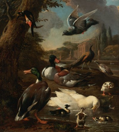 A Peacock, Pigeon, Ducks and Other Birds in a Garden Setting by Melchior de Hondecoeter